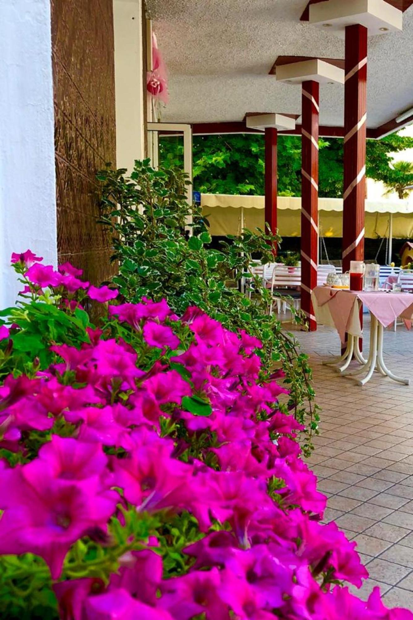 Hotel Alessi** Rimini